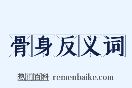 骨身反义词是什么意思的图片